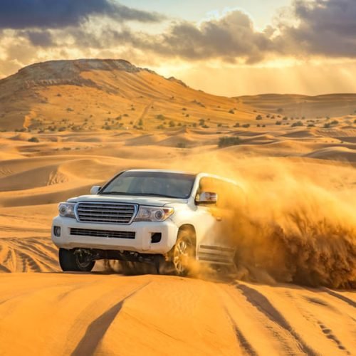 Desert Safari